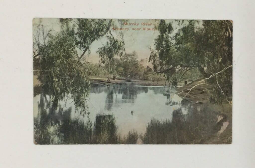 Vintage postcard Murray River scenery near Albury Vic. Fusspots at