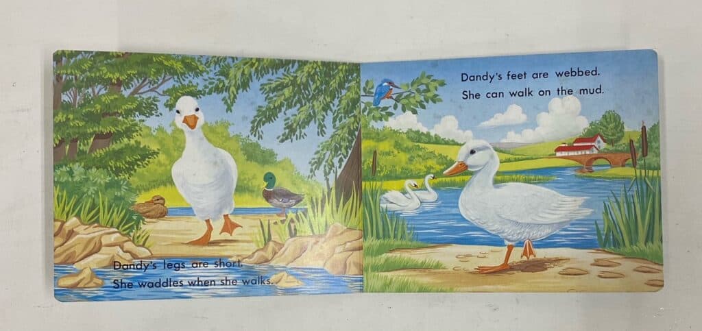 'dandy Duck', 1981 Child's Book 'know About Animals' Series 