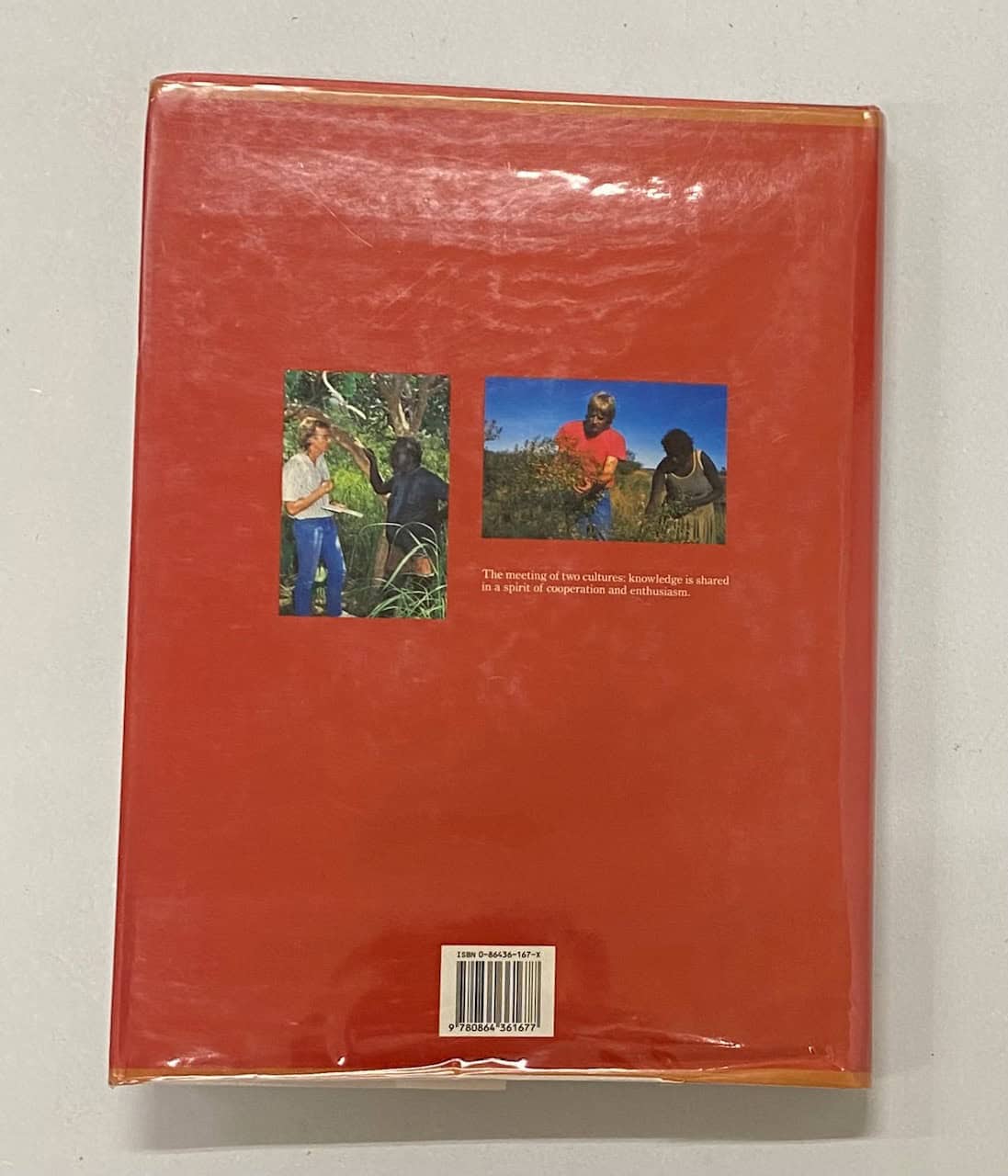 Traditional Bush Medicines, An Aboriginal Pharmacopoeia, Aboriginal Communities of the Northern Territory of Australia 1988 First Ed HBDJ - Image 8