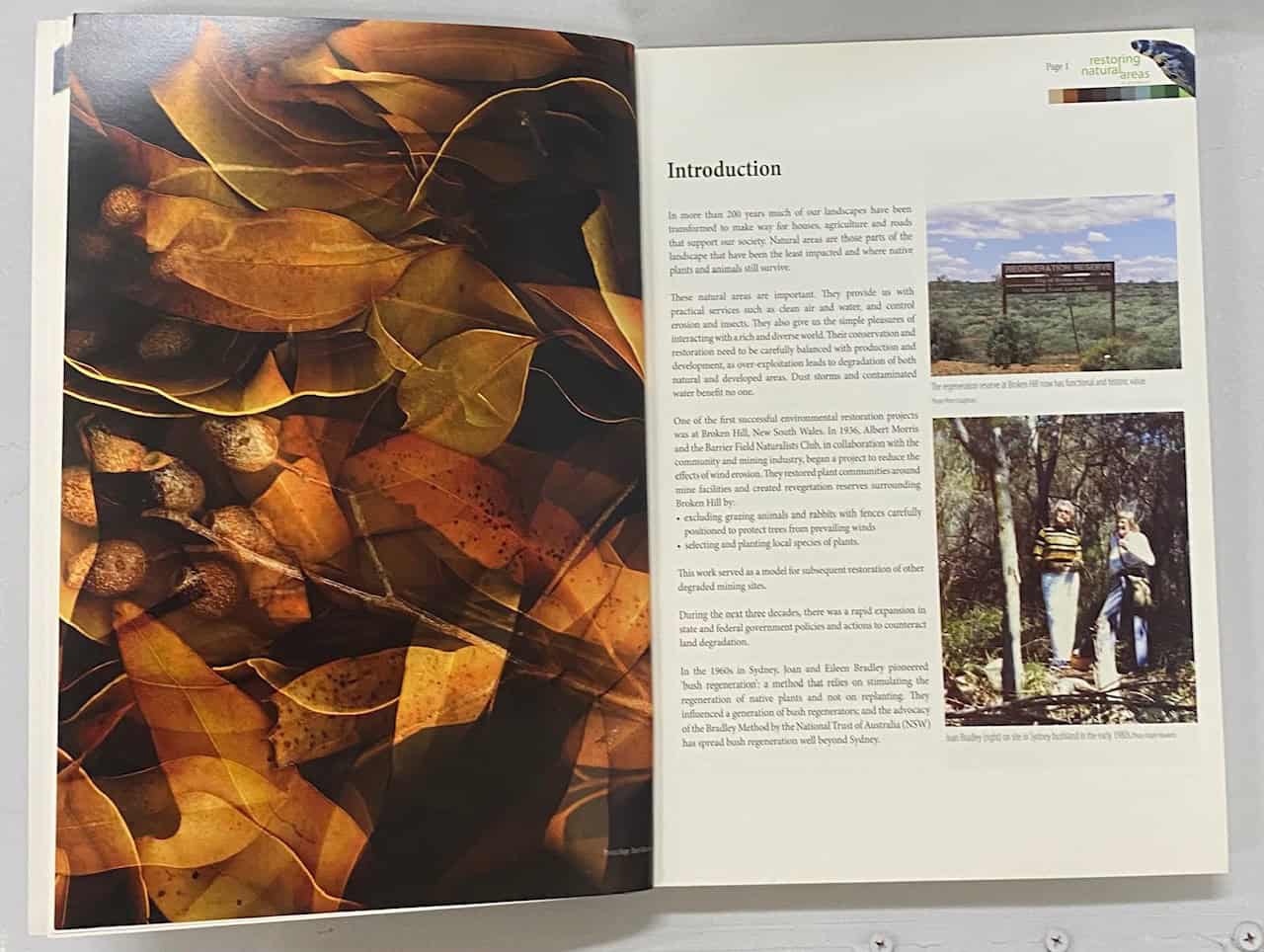 Restoring Natural Areas In Australia, Robin A Buchanan, SC 2009 - Image 5